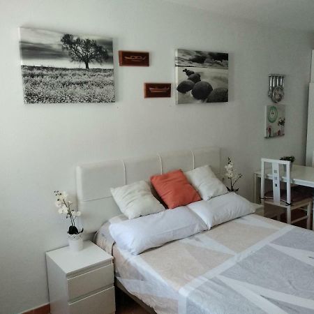 טריפה Coqueto Estudio Con Acceso A Piscina מראה חיצוני תמונה