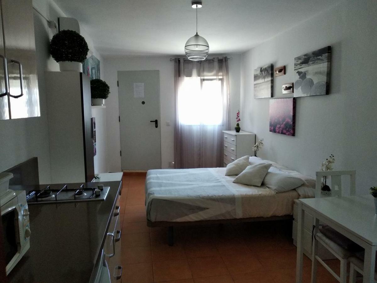 טריפה Coqueto Estudio Con Acceso A Piscina מראה חיצוני תמונה