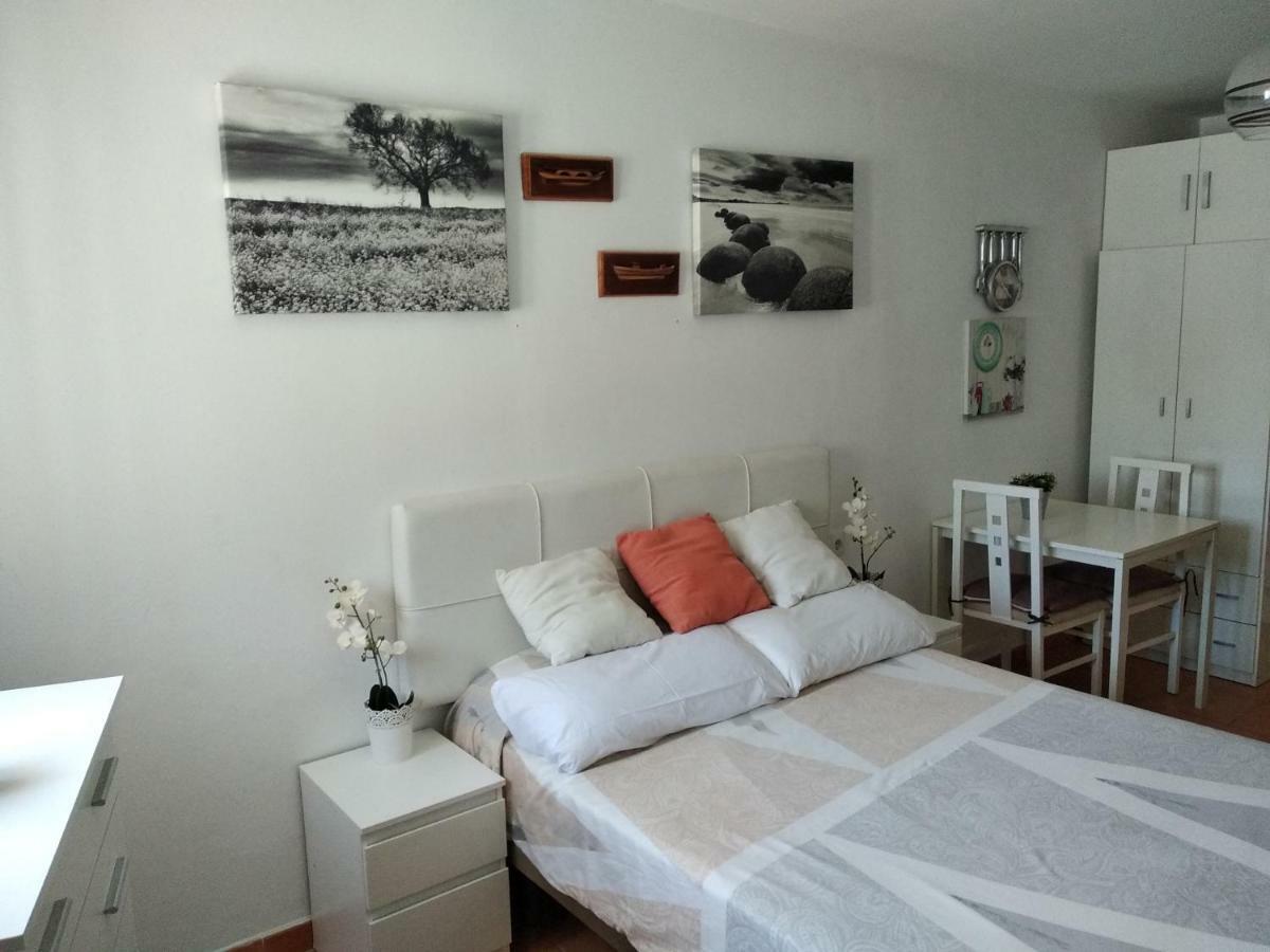 טריפה Coqueto Estudio Con Acceso A Piscina מראה חיצוני תמונה