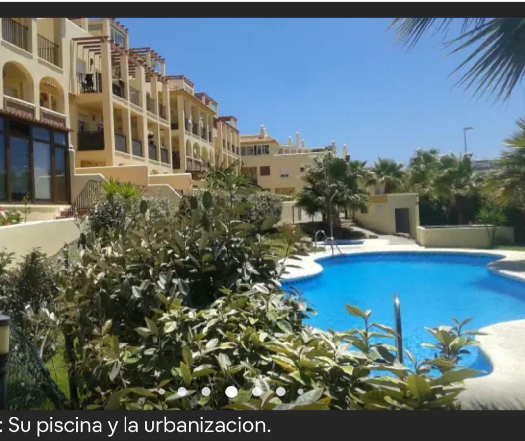 טריפה Coqueto Estudio Con Acceso A Piscina מראה חיצוני תמונה